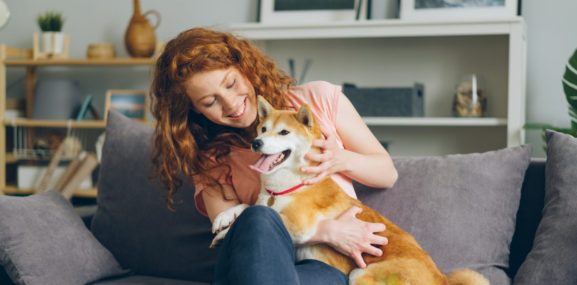 Who Gets the Dog in a Divorce?